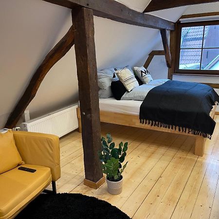 Hideaway Im Odenwald Nahe Heidelberg Apartment Eberbach  Ngoại thất bức ảnh