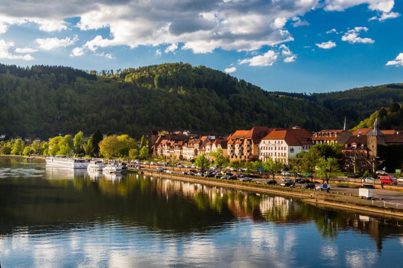 Hideaway Im Odenwald Nahe Heidelberg Apartment Eberbach  Ngoại thất bức ảnh